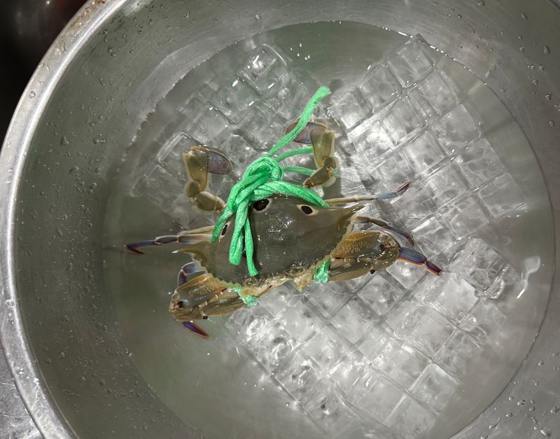 秋蟹季/不敢生拆活蟹?達人教1招放暈 懶人煮法神好吃