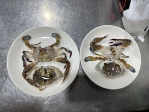 ▲螃蟹(圖／記者周淑萍攝)