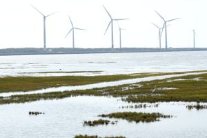 報導 ▲離岸風電產業為台中港區帶進超過百億投資案,以及數以千計的就業人口。(圖/品牌提供)