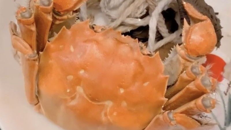 ▲秋天是吃螃蟹的好季節，不過料理後該如何食用，是一門很大的學問。（圖／記者張志浩攝）