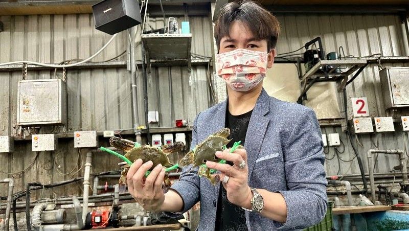 秋蟹季/飽滿螃蟹怎麼挑?萬里蟹盤商揭祕:內行摸這裡