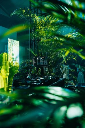 ▲派對以House電子音樂搭配大量綠色植栽與燈光投影，呈現植物電波的聲光音響效果，在虛實轉換之間，打造出專屬於熱帶高雄的K-TOWN印象！(圖／高市青年局提供)