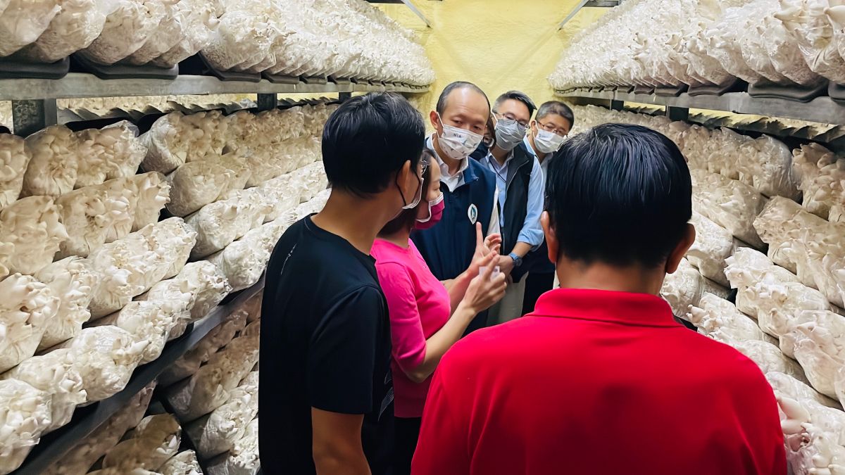 ▲新住民開創夢想中的香菇農場。（圖／移民署提供）
