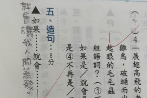 小學生藉造句「抒發內心」！網看內容全笑瘋：這得打113
