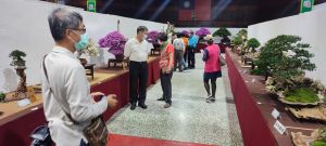 ▲2022台灣花菓盆栽展今起一連5天展出，首日即吸引很多參觀民眾湧入。（圖／主辦單位提供）