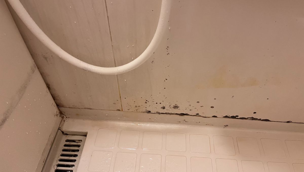 ▲浴室除濕問題最讓人頭痛，該如何保持乾燥，避免角落發霉、矽利康發黑，引起網友熱烈討論。（示意圖／取自photoAC）