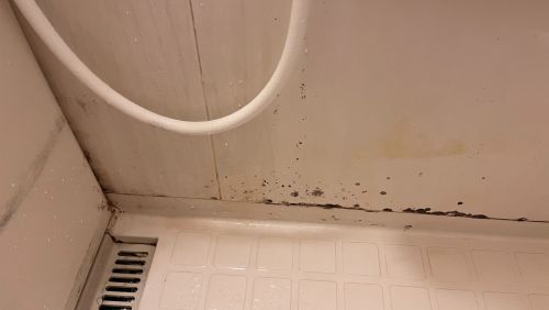 浴室發霉別硬刷！專家揭除霉致命錯誤：一堆人做錯　正確洗法曝光