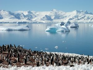 若想走高端奢華遊程,更是不能錯過雄獅主題旅遊行程「2024南極30日」主打三島Long Stay遊程。(圖/雄獅旅遊) ▲若想走高端奢華遊程,更是不能錯過雄獅主題旅遊行程「2024南極30日」主打三島Long Stay遊程。(圖/雄獅旅遊提供)