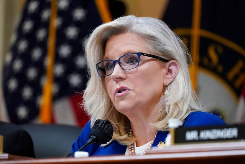 ▲，共和黨反川普大將麗茲‧錢尼（Liz Cheney）到兵家必爭的搖擺州站台，替爭奪國會席次的兩名民主黨候選人拉票。（圖／美聯社／達志影像）