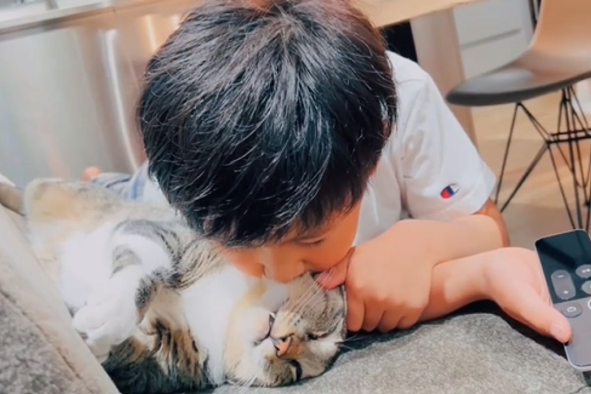 ▲貓咪伸展呈萬歲姿勢拉超長，飼主驚：「竟跟我兒子差不多高！」。（圖／Instagram：rie_mrmt）