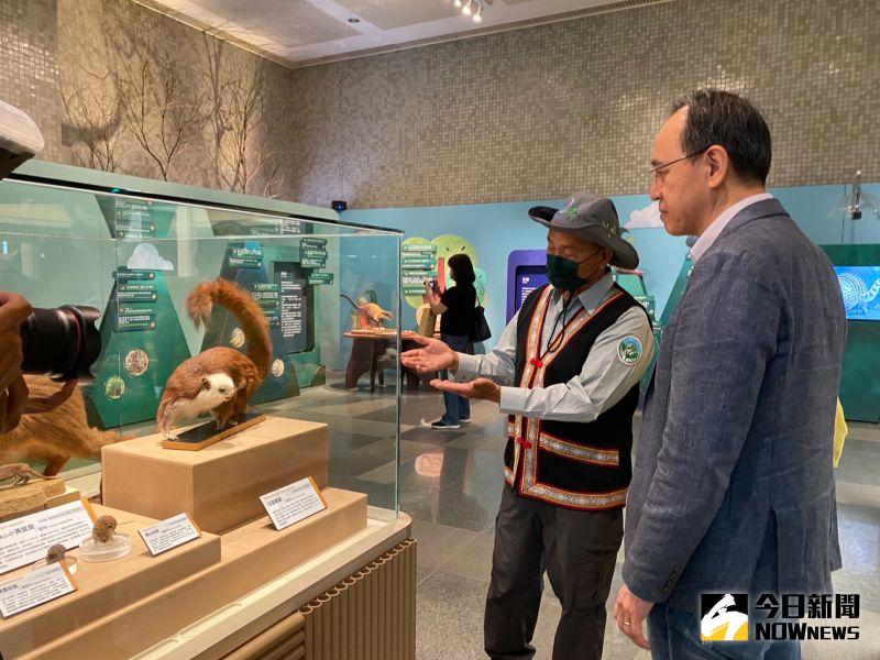 ▲國立自然科學博物館今起舉辦「張牙舞爪」特展，展出25種臺灣哺乳類動物標本。（圖／記者金武鳳攝，2022.11.4)