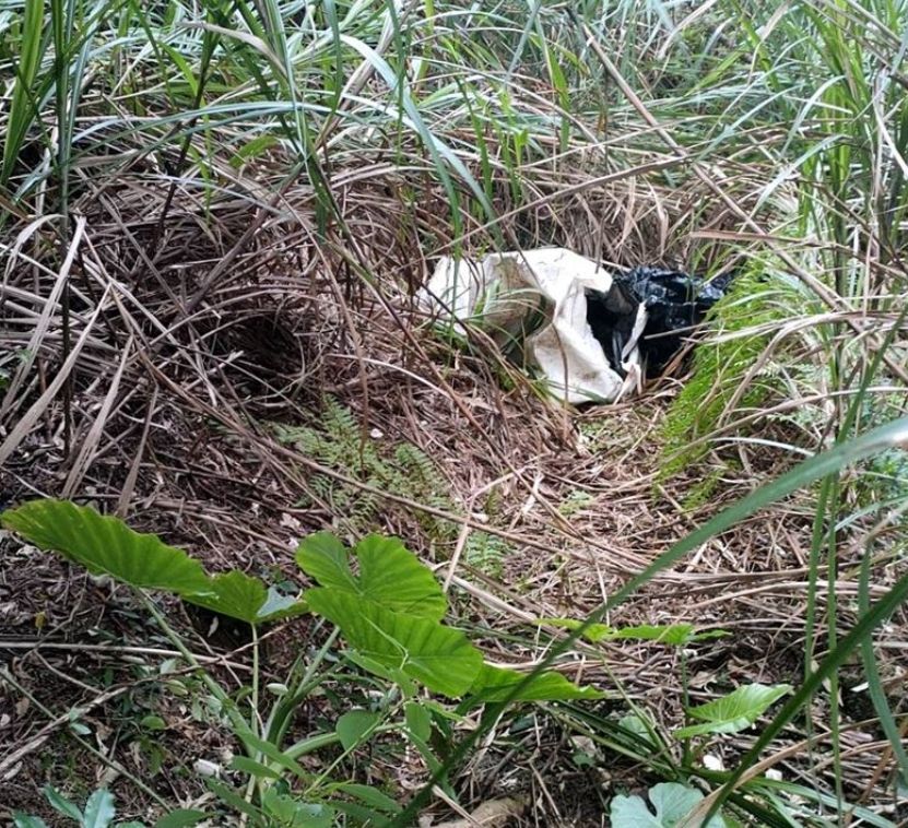 ▲今（4）日稍早，警方調查發現，有3名被害人疑似在拘禁時遭虐死，並被遺棄在龜山山區，目前已發現2具遺體。（圖／翻攝畫面）