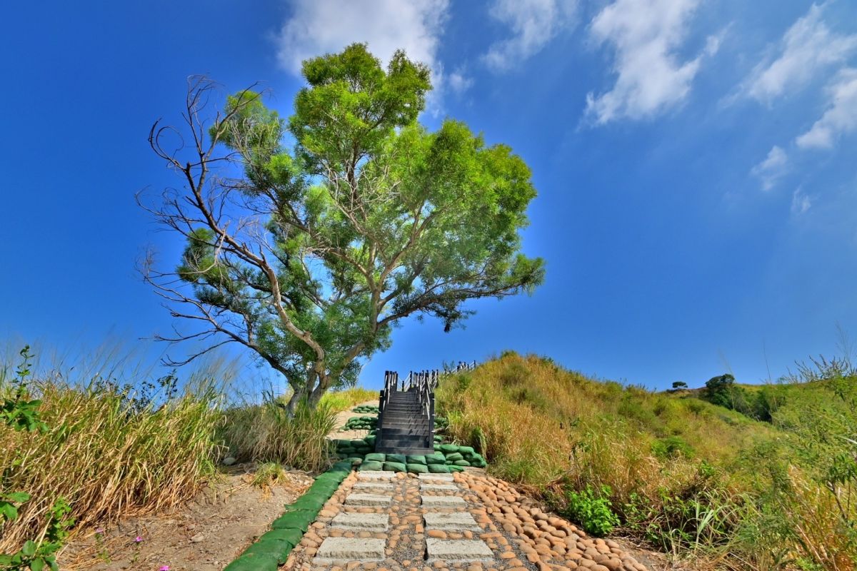 ▲烏日區雪蓮步道整修完成，打卡新亮點(圖／觀旅局提供2022.11.5)