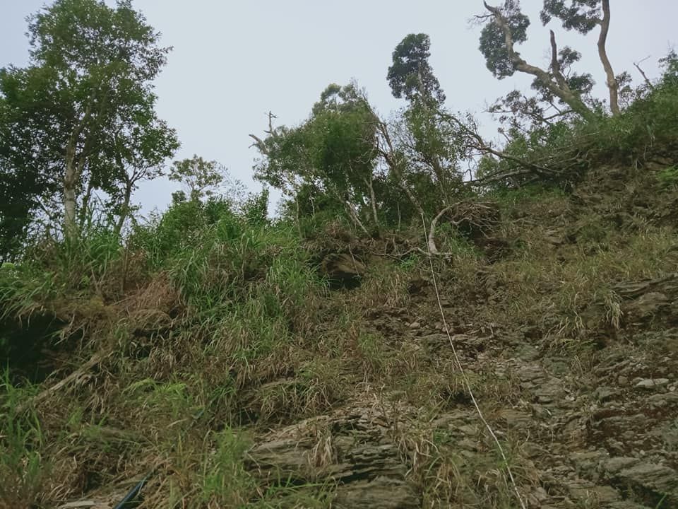 ▲屏東北大武山，今（5）日凌晨有一位山友夜攀攻頂卻未準備齊全設備，下山迷路緊急求援，幸好最後救援人員順利將人找到，帶出山區。（示意圖／翻攝自「屏東林區管理處北大武山資訊站」臉書）