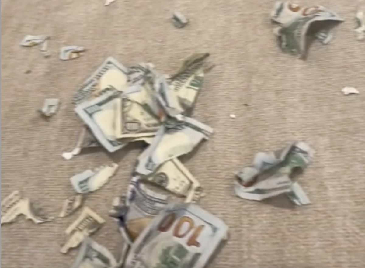 ▲網友才出門兩小時，愛犬拉布拉多竟趁機將桌上的鈔票全咬爛。（圖／翻攝自TikTok＠kimkruk）