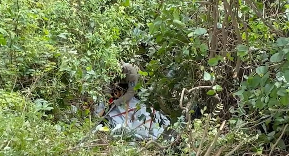 ▲3名求職被害者遭「台版柬埔寨」詐騙集團棄屍。（圖／翻攝畫面）