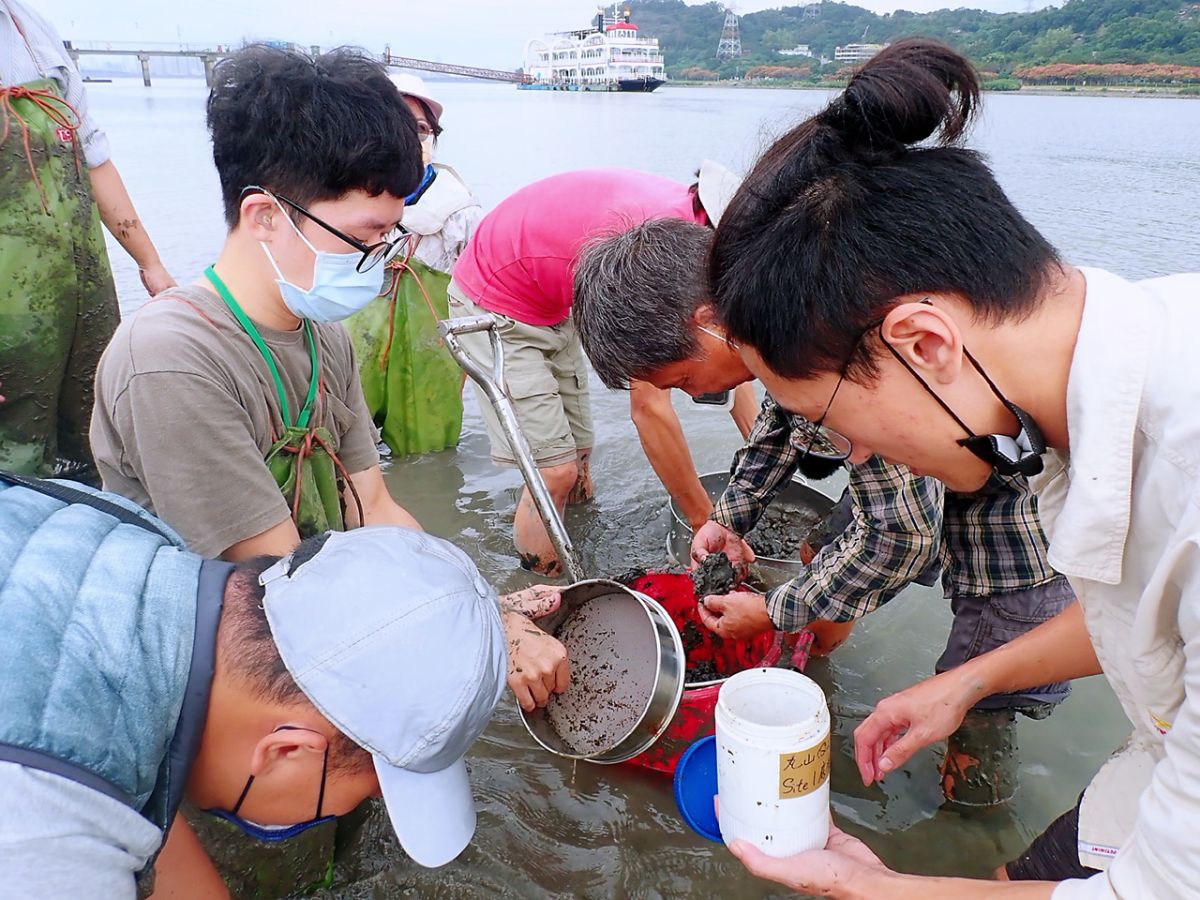 ▲於關渡碼頭紅樹林灘地進行濕地生態調查課程。（圖／中華民國綠野生態保育協會提供）