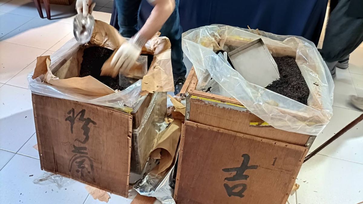 ▲保存近一甲子的原箱茶，由「逸春商行」舉辦台灣老茶開箱，一窺台灣老茶的神秘世界。(圖／柳榮俊攝2022.11.7)