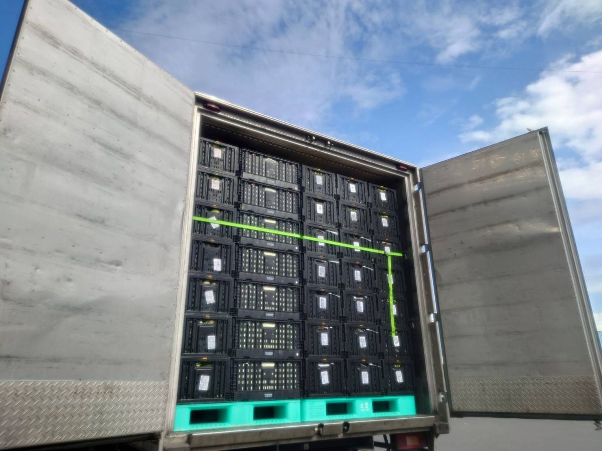 ▲農委會推動批發市場建立新式摺疊籃回收制度。（圖／農委會提供）