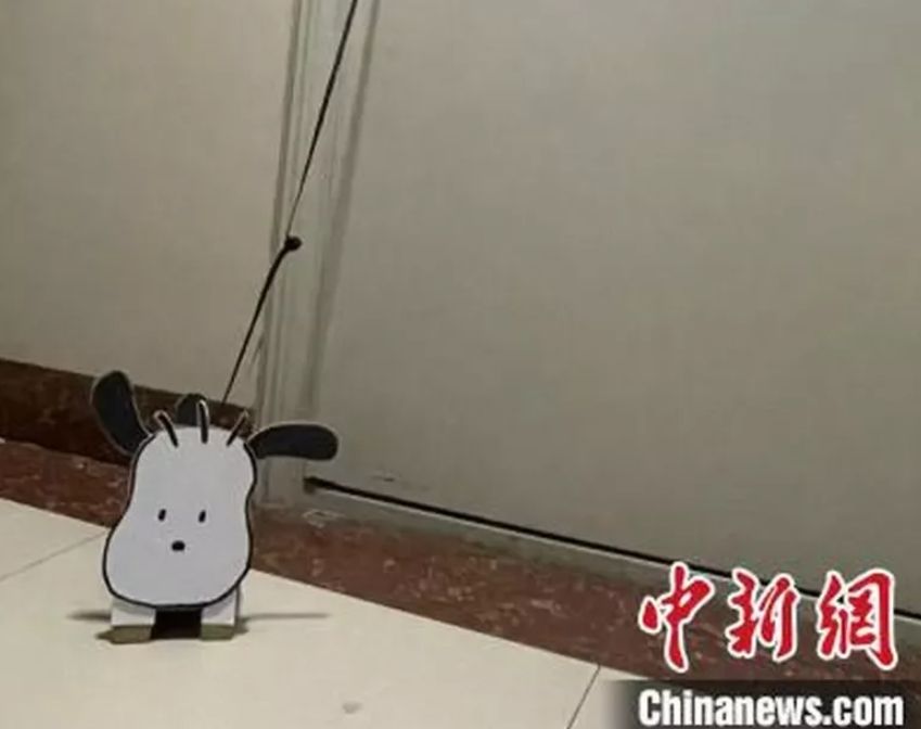 ▲遛「紙盒狗」似乎正成為中國大學生的新風潮。（圖／翻攝自中新網）