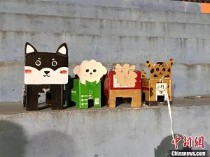 ▲遛「紙盒狗」似乎正成為中國大學生的新風潮。（圖／　翻攝自中新網）