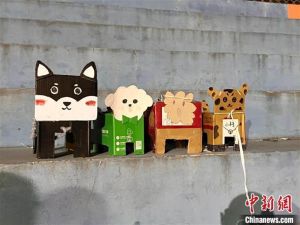 ▲遛「紙盒狗」似乎正成為中國大學生的新風潮。(圖/ 翻攝自中新網) ▲遛「紙盒狗」似乎正成為中國大學生的新風潮。(圖/ 翻攝自中新網)