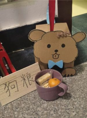 ▲遛「紙盒狗」似乎正成為中國大學生的新風潮。(圖/ 翻攝自中新網) ▲遛「紙盒狗」似乎正成為中國大學生的新風潮。(圖/ 翻攝自中新網)