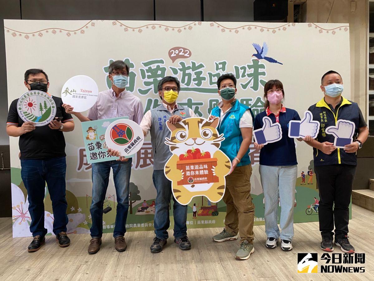 ▲「苗栗遊品味 邀您來體驗」 12日在台中舉辦輔導成果展，今日縣府人員先行宣導。（圖／記者金武鳳攝，2022.11.11)