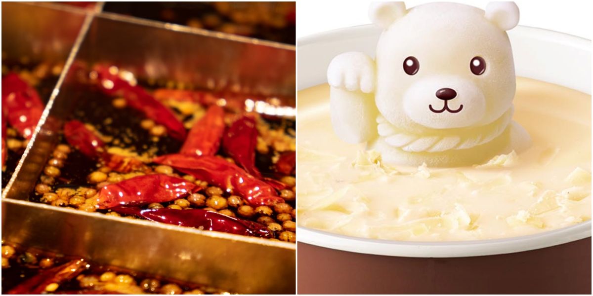 ▲家樂福開賣名店新品湯底，其中最具話題性由「聚」推出的聚寶熊牛奶鍋，一鍋端上桌滿足視覺、味覺雙享受。（圖／家樂福、unsplash）