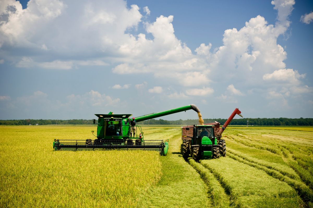 ▲美國得天獨厚的地利優勢，成為「米中之王」越光米的栽種地之一。（圖／官方提供）