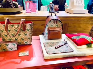 林依晨逛禮物店曬愛女「每分每秒進化」 聞1事偷翻白眼 ▲COACH「2022 Holiday限定主題快閃店」最新手袋有滿版的Rexy。(圖/記者蕭涵云攝)