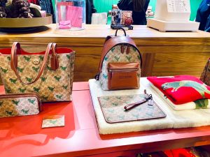 ▲COACH「2022 Holiday限定主題快閃店」最新手袋有滿版的Rexy。（圖／記者蕭涵云攝）