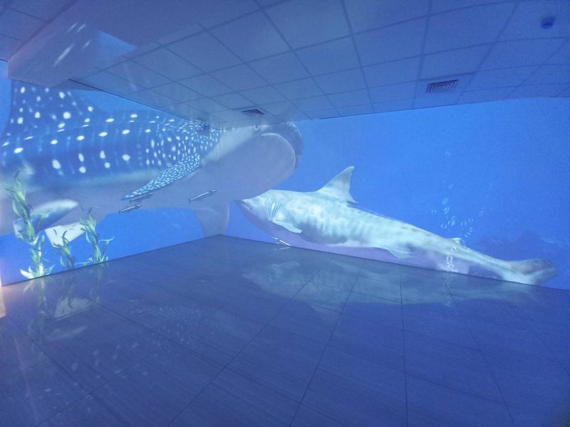 ▲WildAid野生救援推出全台首場！虛擬海洋沈浸體驗巡迴展『OCEANBOX』，結合 AR與VR，360環繞沈浸體驗技術為「海洋動物展示」找出替代方案。（圖／WildAid野生救援提供）