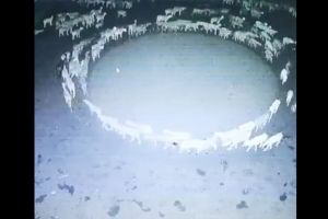 ▲內蒙古包頭省,一處牧場內的羊圈,裡頭羊隻會集體進行繞圈圈活動,已經持續12天,讓人嘖嘖稱奇。(圖/翻攝自人民日報的推特) ▲內蒙古包頭省,一處牧場內的羊圈,裡頭羊隻會集體進行繞圈圈活動,已經持續12天,讓人嘖嘖稱奇。(圖/翻攝自人民日報的推特)