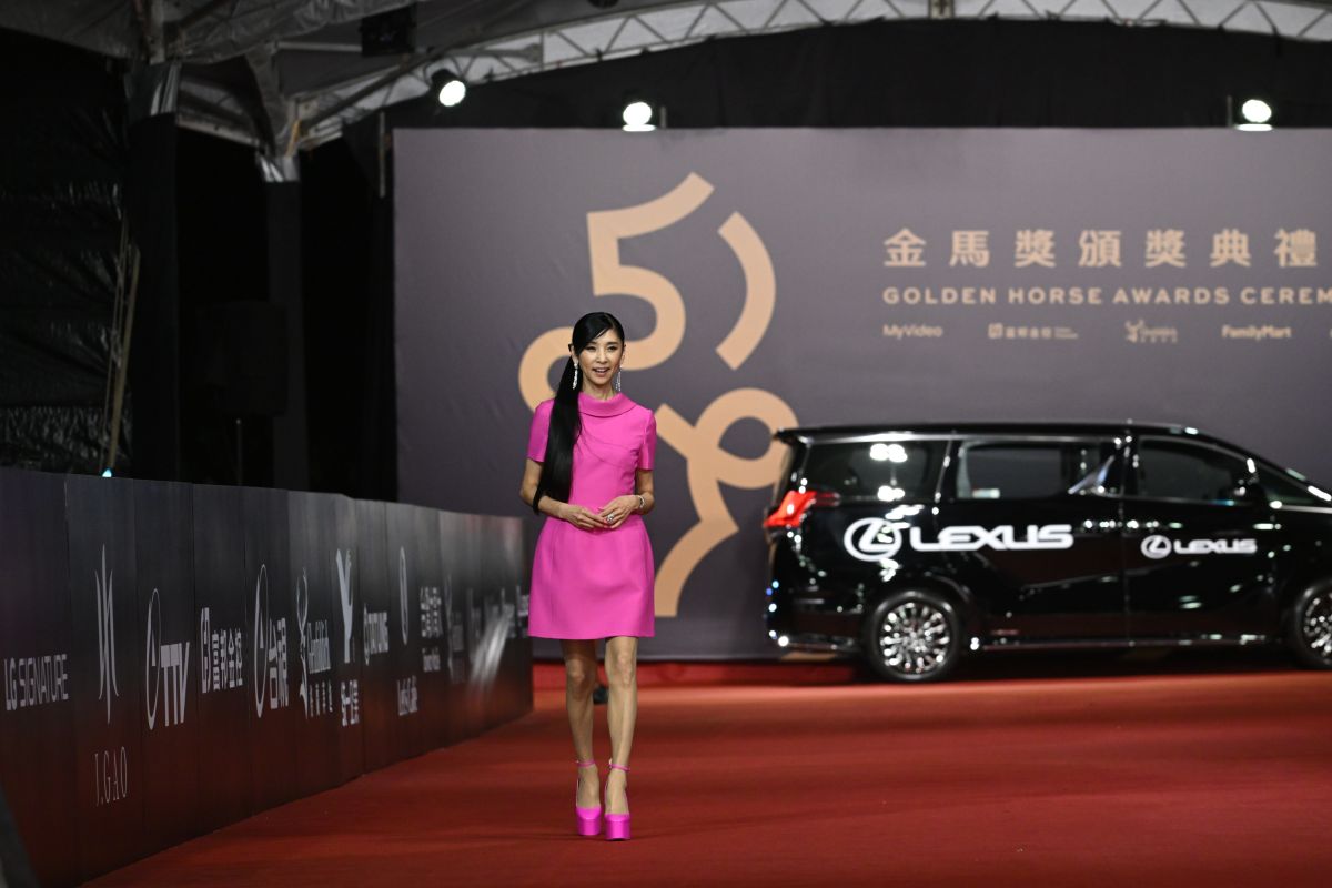 ▲金馬收視出爐，星光大道黑木瞳最吸睛。（圖／台視提供）