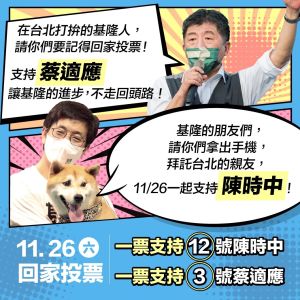 ▲蔡適應與陳時中透過漫畫圖卡互挺，期盼在1126投票日全勝利。（圖／民進黨提供）