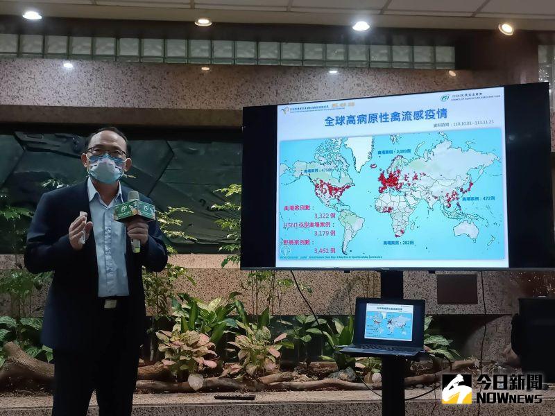 ▲農委會舉行「國際與我國禽流感疫情概況及防疫措施說明記者會」，評估首起H5N1疫情沒有向外擴散。（圖／記者許若茵攝，2022.11.24）