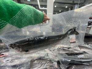 ▲好市多黑五單日限定特價品「空運新鮮大西洋鮭魚」。（圖／記者鍾怡婷攝）