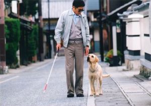 ▲《再見了，可魯》導演崔洋一，27日病逝，享壽73歲。（圖／翻攝自推特）