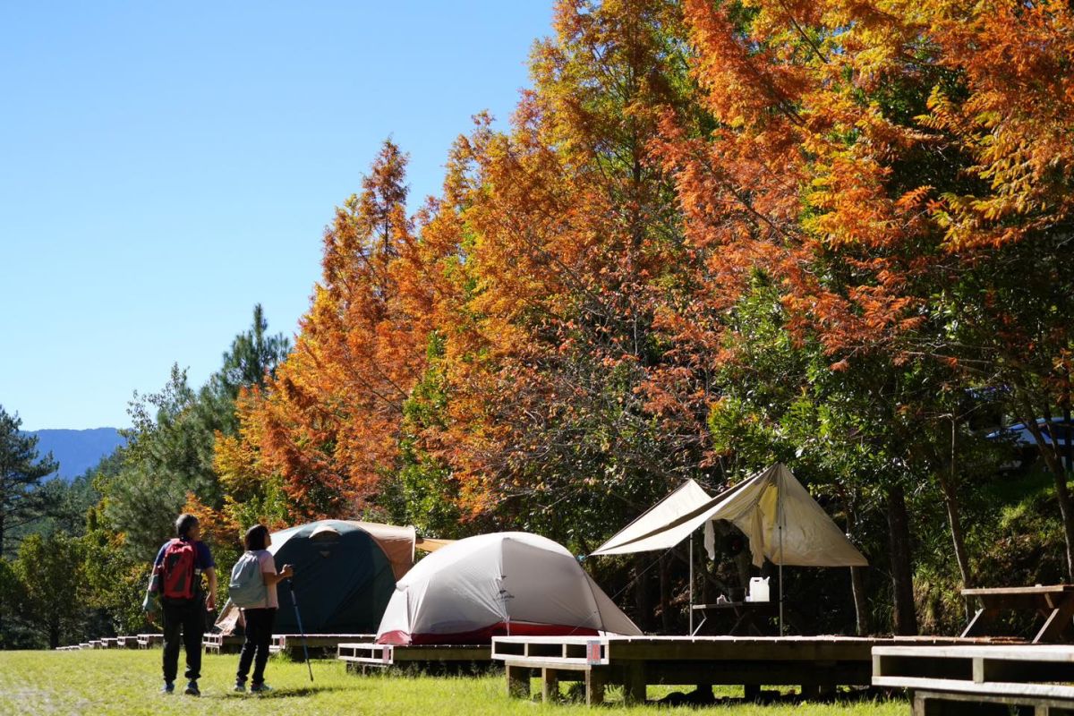 ▲明（1）日早上8點武陵農場將開放新一梯次露營區名額開搶，以下攻略看完趕緊訂好鬧鐘，晚一分鐘可能就沒了啊。（圖／翻攝自武陵農場臉書）