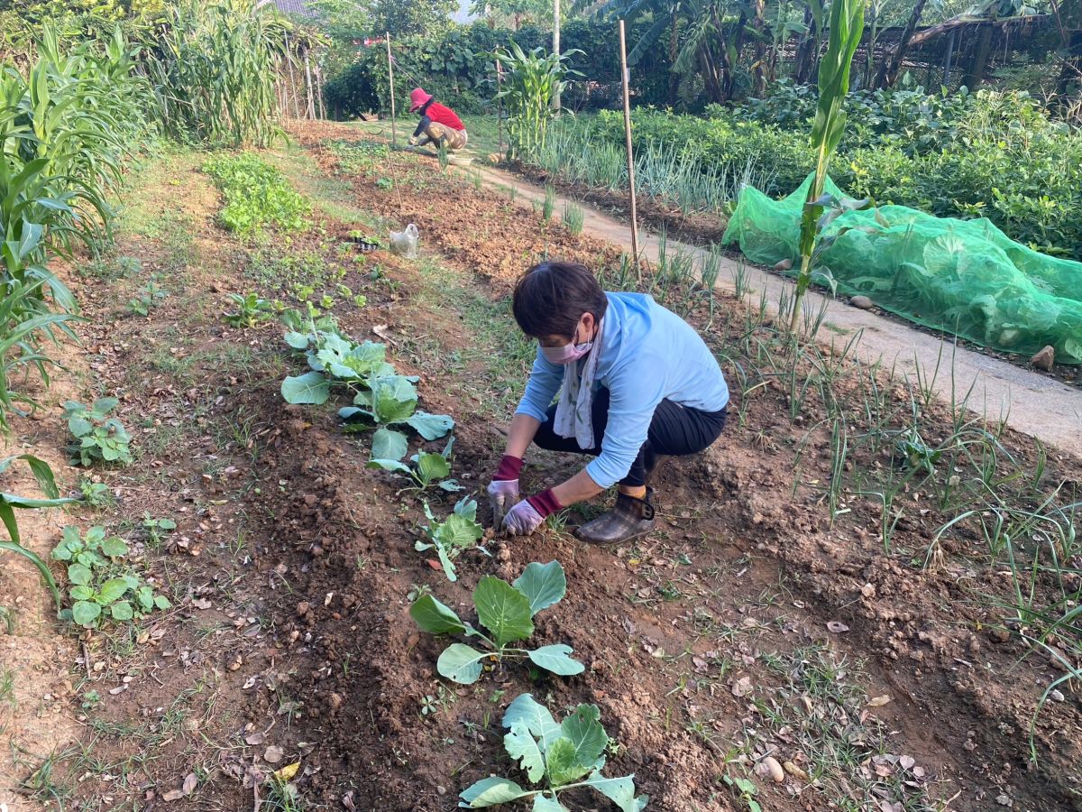 ▲環保農園限台中市民-並以戶為單位申請，每年度分二期報名抽籤，抽中的市民可免租金使用(圖／環保局提供2022.12.3)