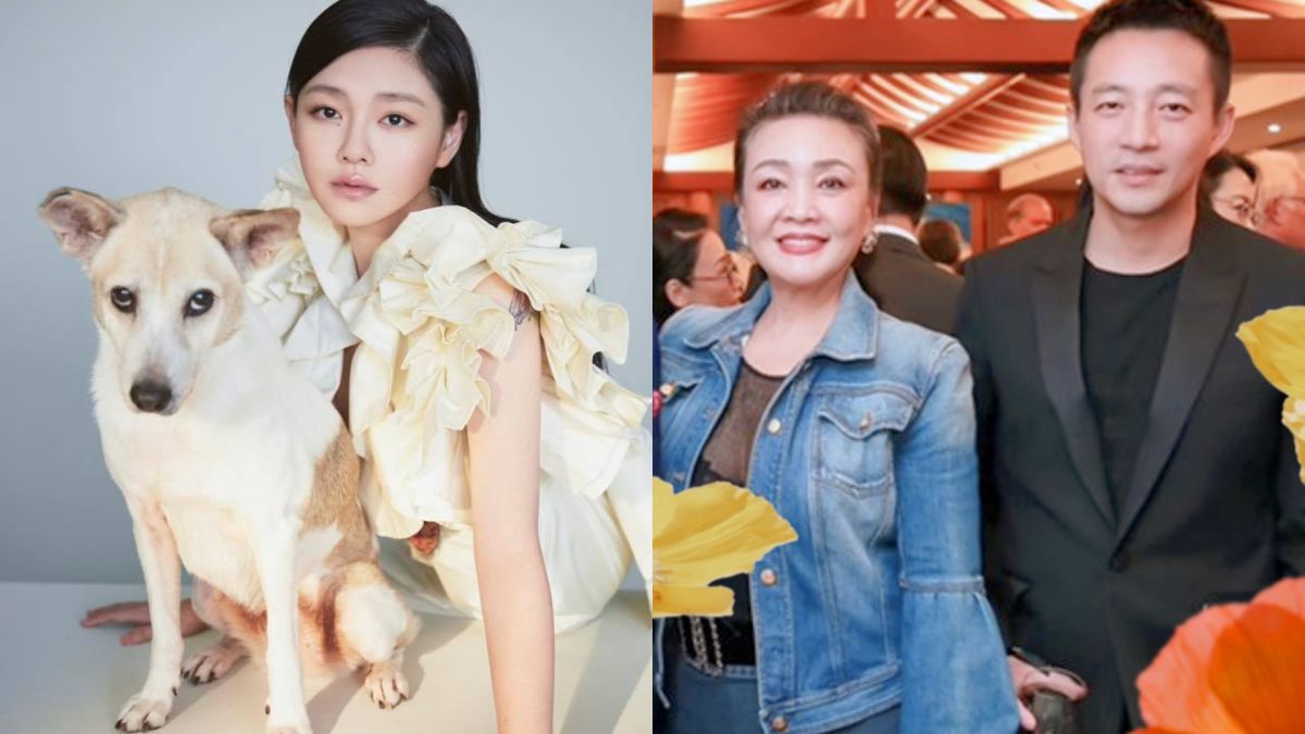 ▲面對數日以來的毀謗與指控，大S似乎無法容忍，PO出證據暗酸汪小菲軟飯、假豪門。（圖／翻攝自大S臉書、汪小菲微博）