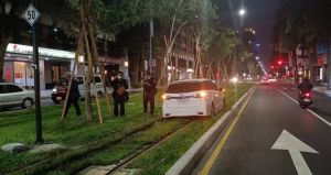 一晚連2次!高雄輕軌再被三寶誤闖 列車一度暫停行駛