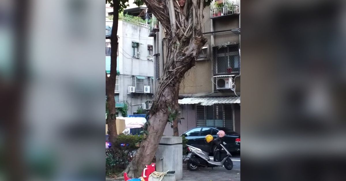 ▲一對家長帶著孩子到公園，結果父子倆人玩起「捉迷藏」後，孩子卻找不到人急哭了。（圖／《爆廢公社二館》）