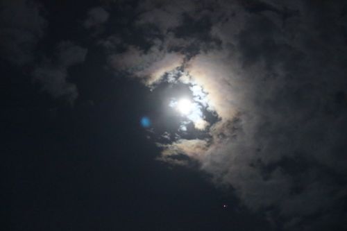吠陀占星命理師新預言!食安問題恐死灰復燃、2028起有新疫情再現
