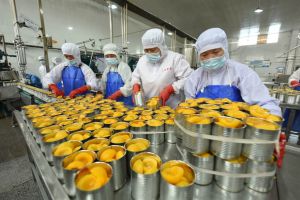 中國防疫急轉彎全民囤藥　黃桃罐頭也掀搶購潮