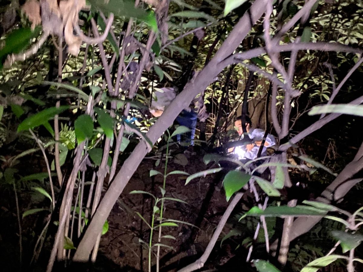 ▲新北刑大獲報，上山追捕持槍砲的44歲陳姓通緝犯。（圖／翻攝畫面）