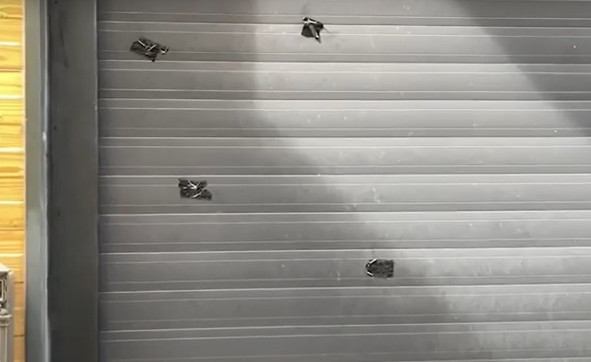 ▲高雄林園信義路某民宅傳出槍響，警消獲報趕到現場，嫌犯已逃逸，車庫鐵捲門發現6個彈孔及6個彈殼。。（圖／翻攝畫面）  
