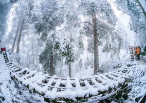 ▲根據太魯閣國家公園官網公告，今年雪季大約會落在12/31到明年228，其中太魯閣國家公園也公告將會針對雪季期間祭出交通管制，重點時間為農曆春節連假（1/20-1/29），以及星期例假日。（圖／攝影部落客molly888666授權提供）