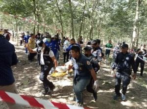 泰國北柳府野象攻擊人　釀2死1傷慘劇
